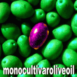 Gino Celletti Monocultivaroliveoil.BIO 2020 - Frantoio monocultivar BIO / GOLD 8,8/10