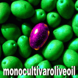 Monocultivaroliveoil.BIO